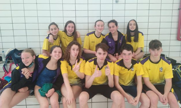 Copa de clubes absoluta